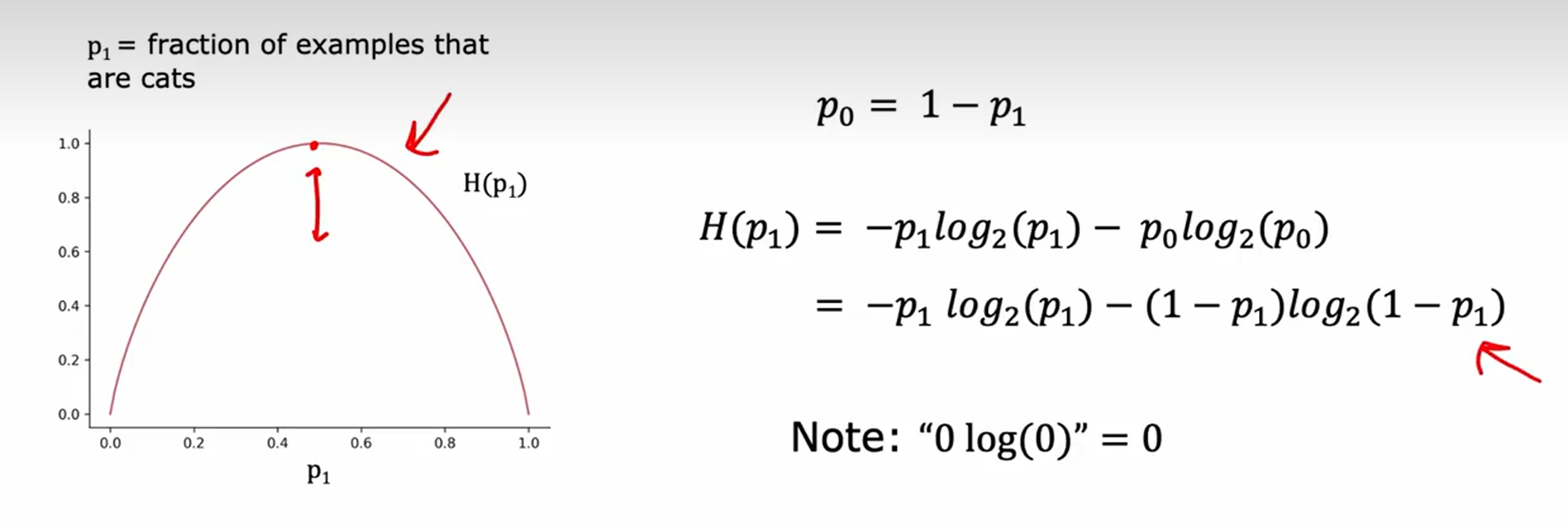 image-20250505045343841