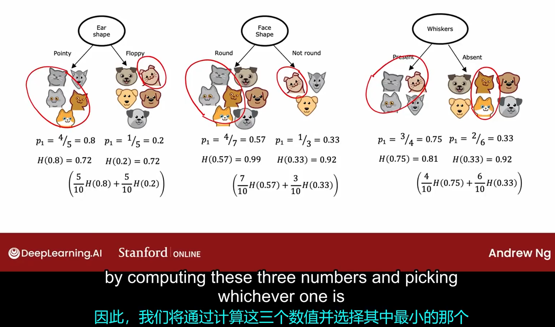 image-20250505045828423