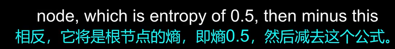 image-20250505045955644