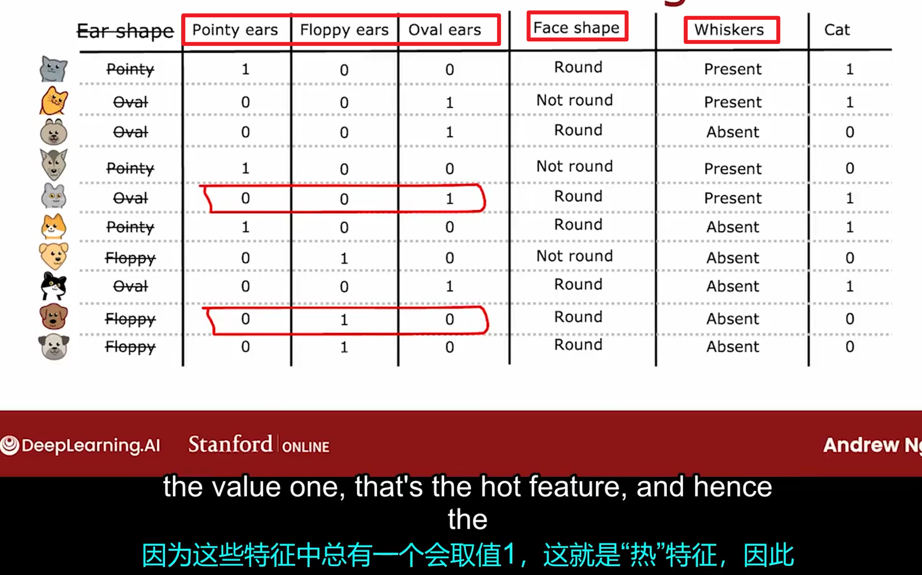 image-20250505050721296